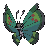 Dark Vivillon (Garden)
